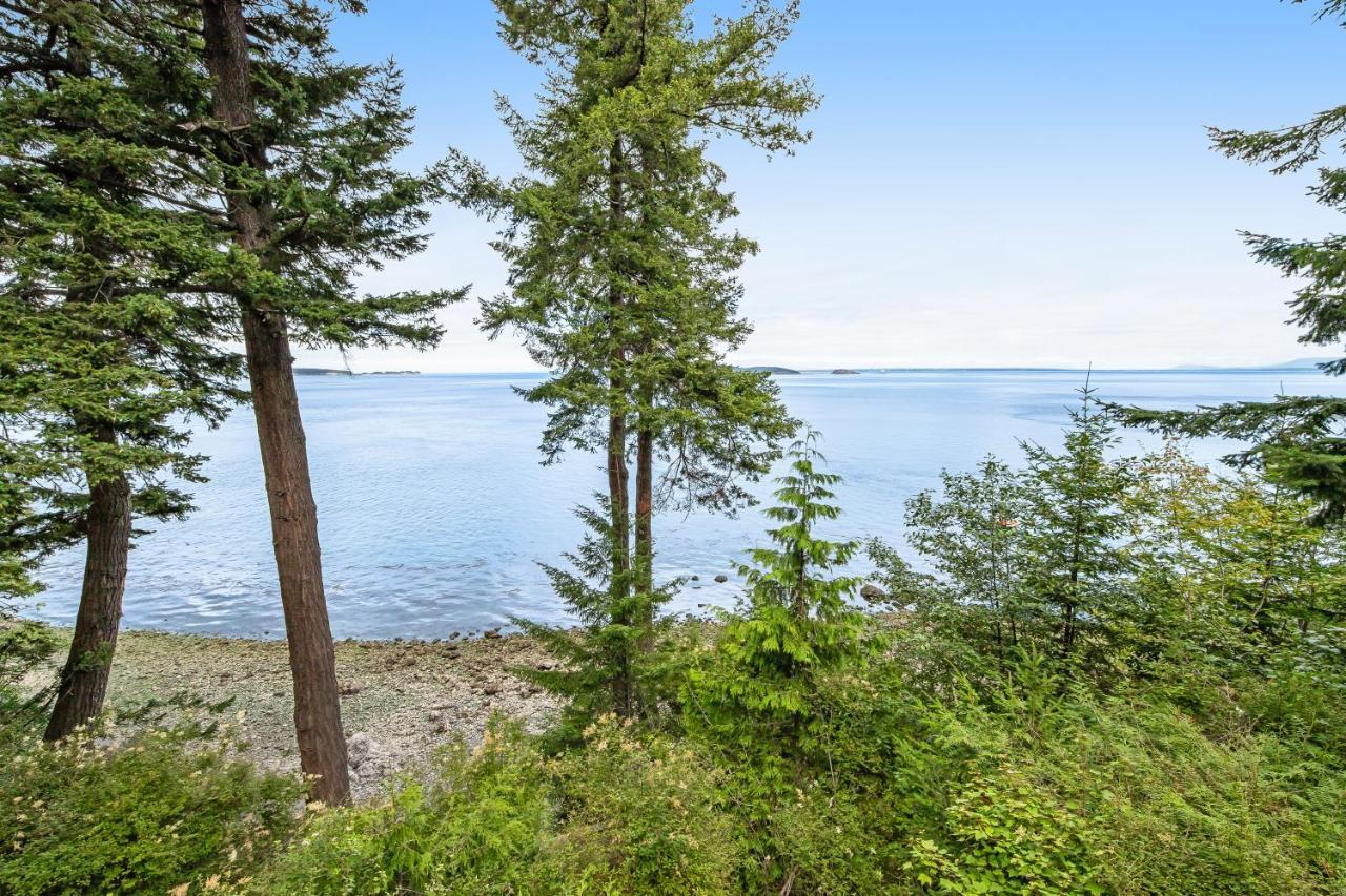 Pinecone Cabin Eastsound Dış mekan fotoğraf